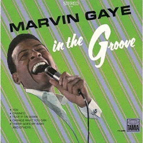 In the Groove cover art