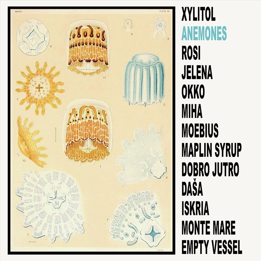 Anemones cover art