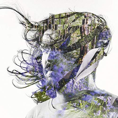 Ribbons cover art