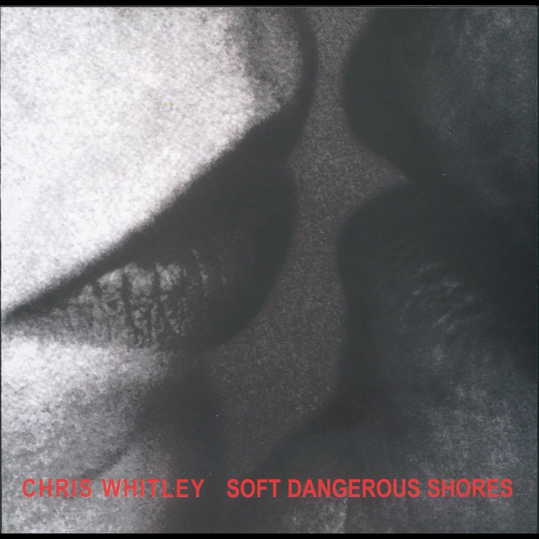 Soft Dangerous Shores cover art
