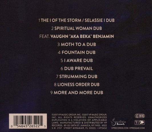 Mad Professor Meets Jah9... In the Midst of the Storm cover art