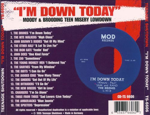 Teenage Shutdown: I'm Down Today cover art