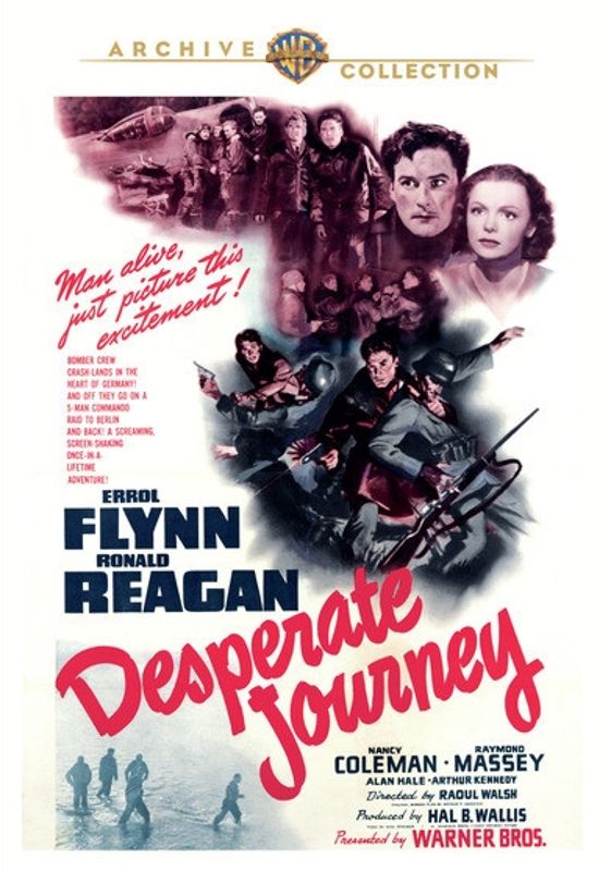 Desperate Journey cover art