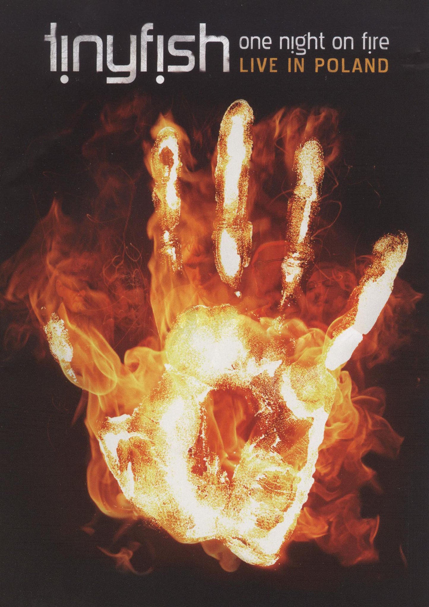 One Night on Fire [DVD] cover art
