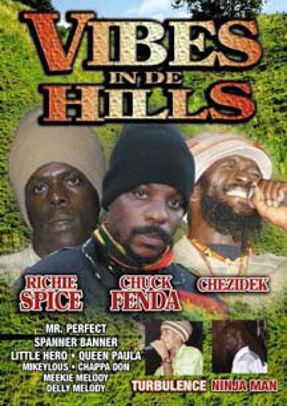 Vibes in de Hills cover art
