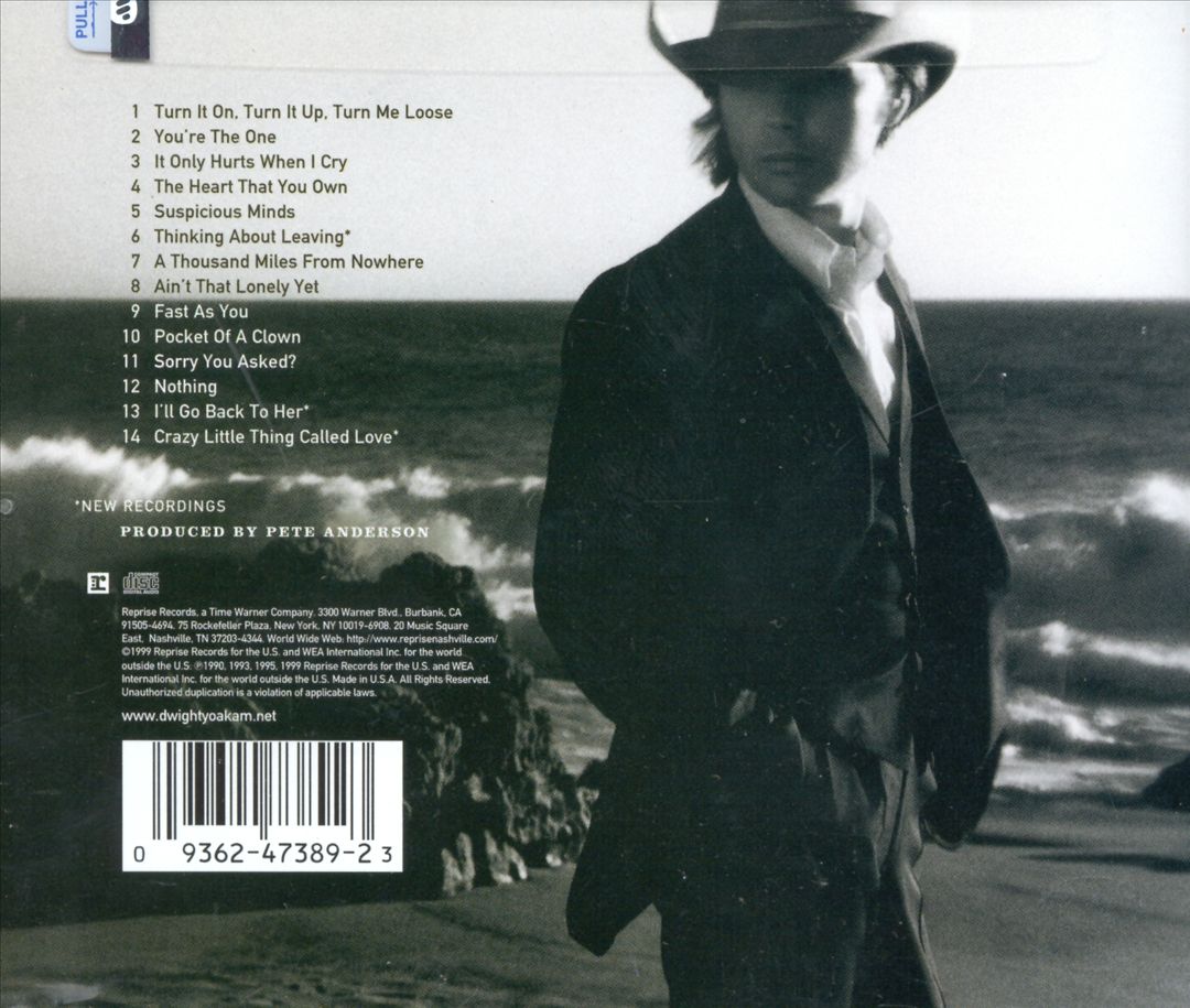 Last Chance for a Thousand Years: Greatest Hits from the 90's cover art