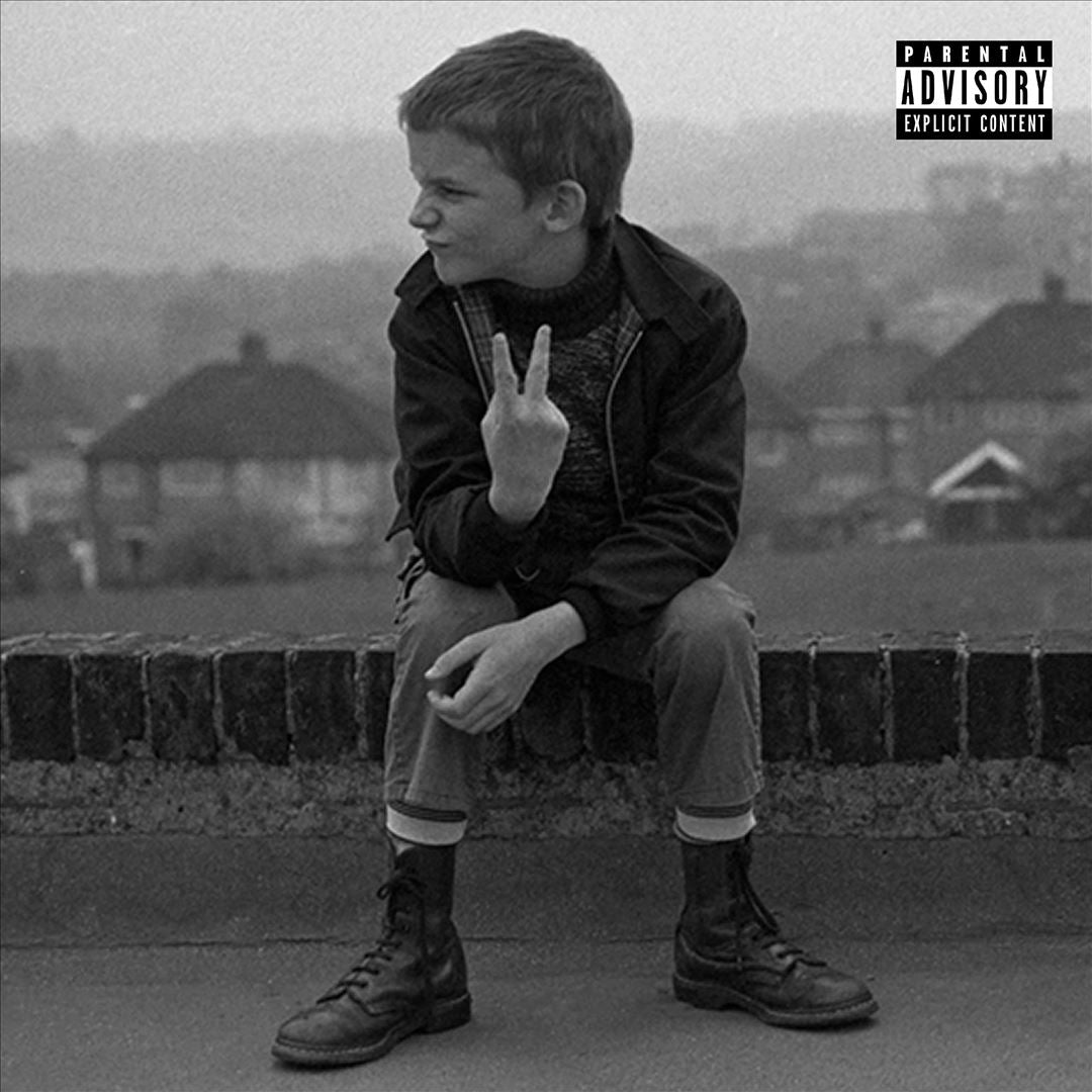 Vandals cover art