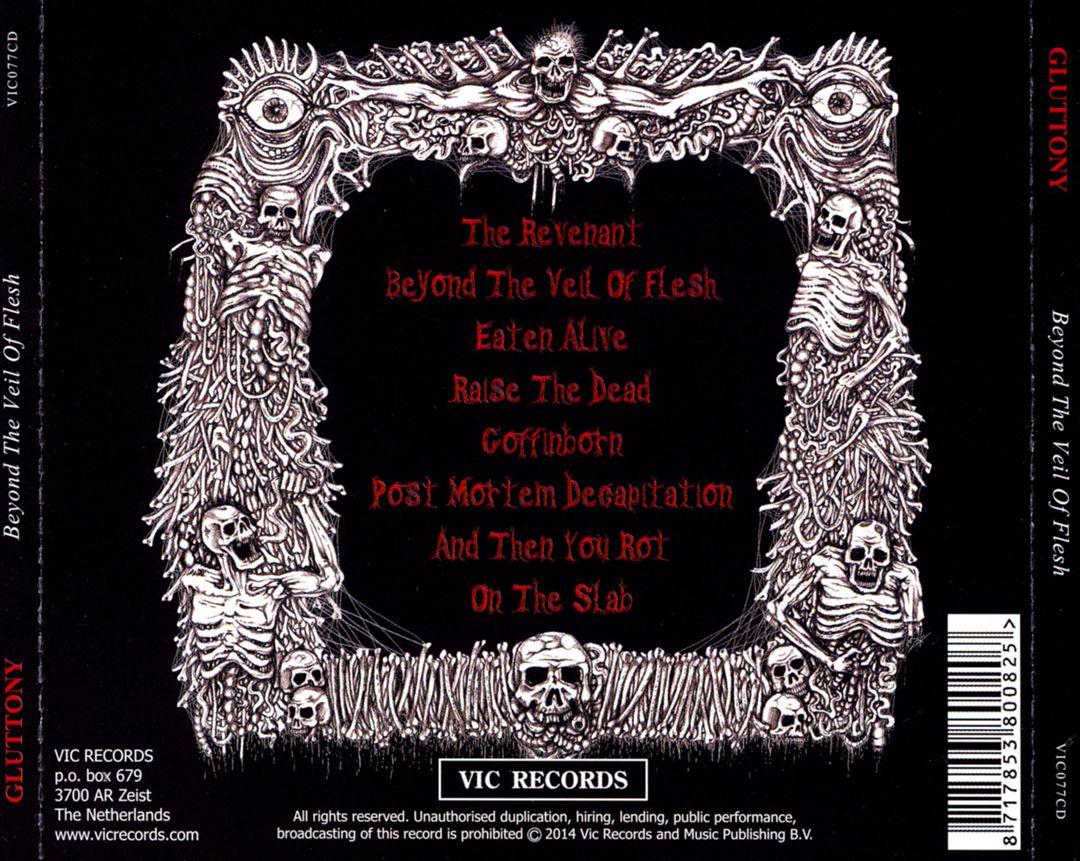 Beyond the Veil of Flesh cover art
