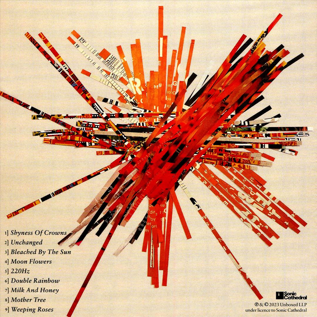 Consciousology cover art