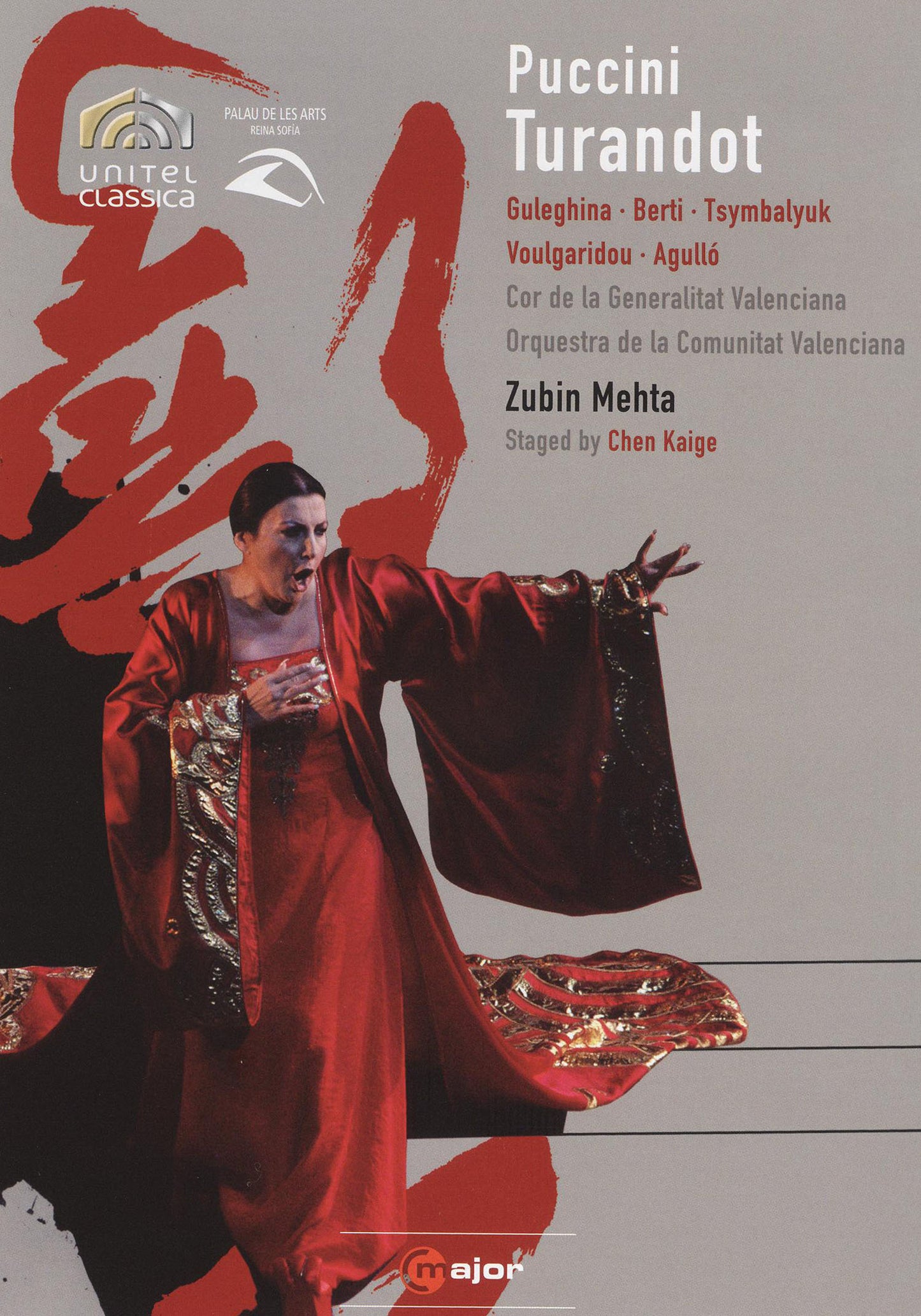 Puccini: Turandot [Video] cover art