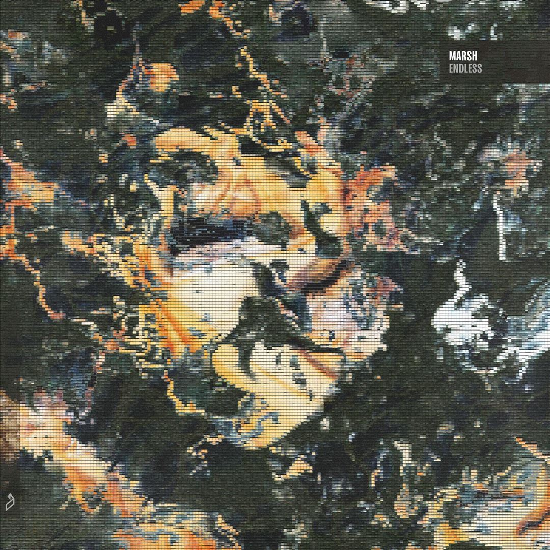 Endless cover art