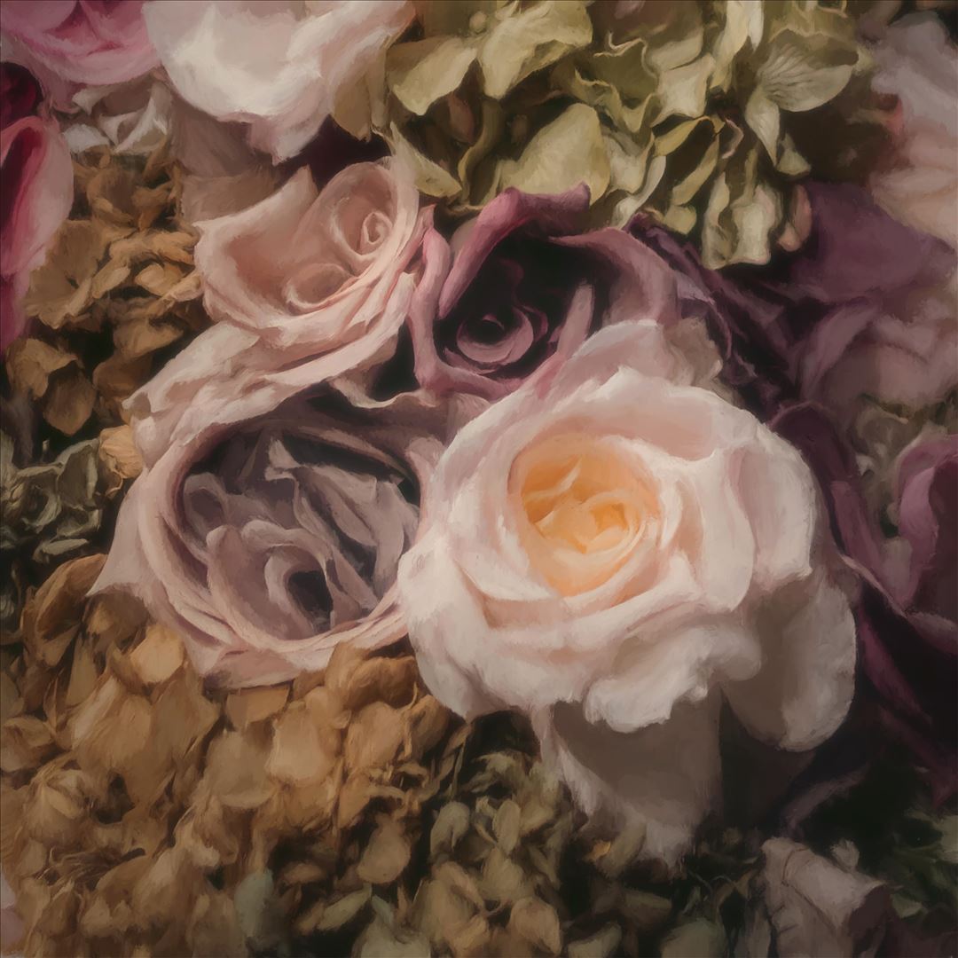 Ceremonia cover art