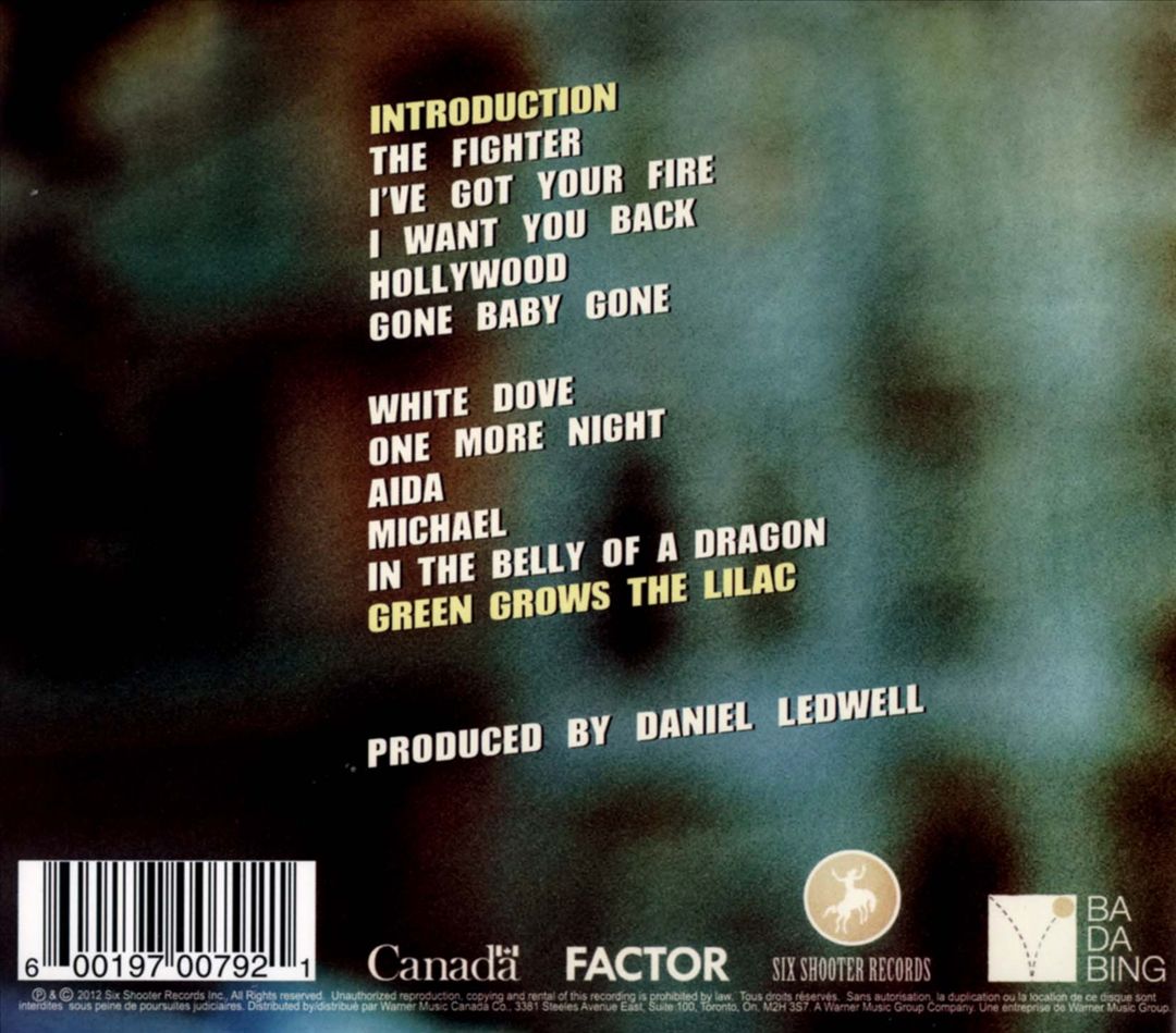 Beautiful Wild cover art