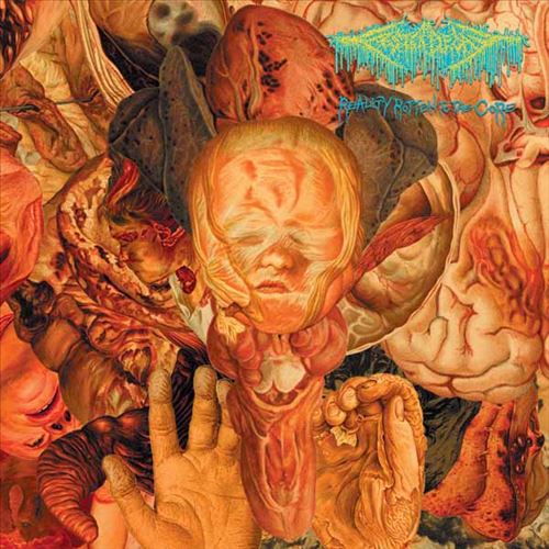 Reality Rotten to the Core cover art
