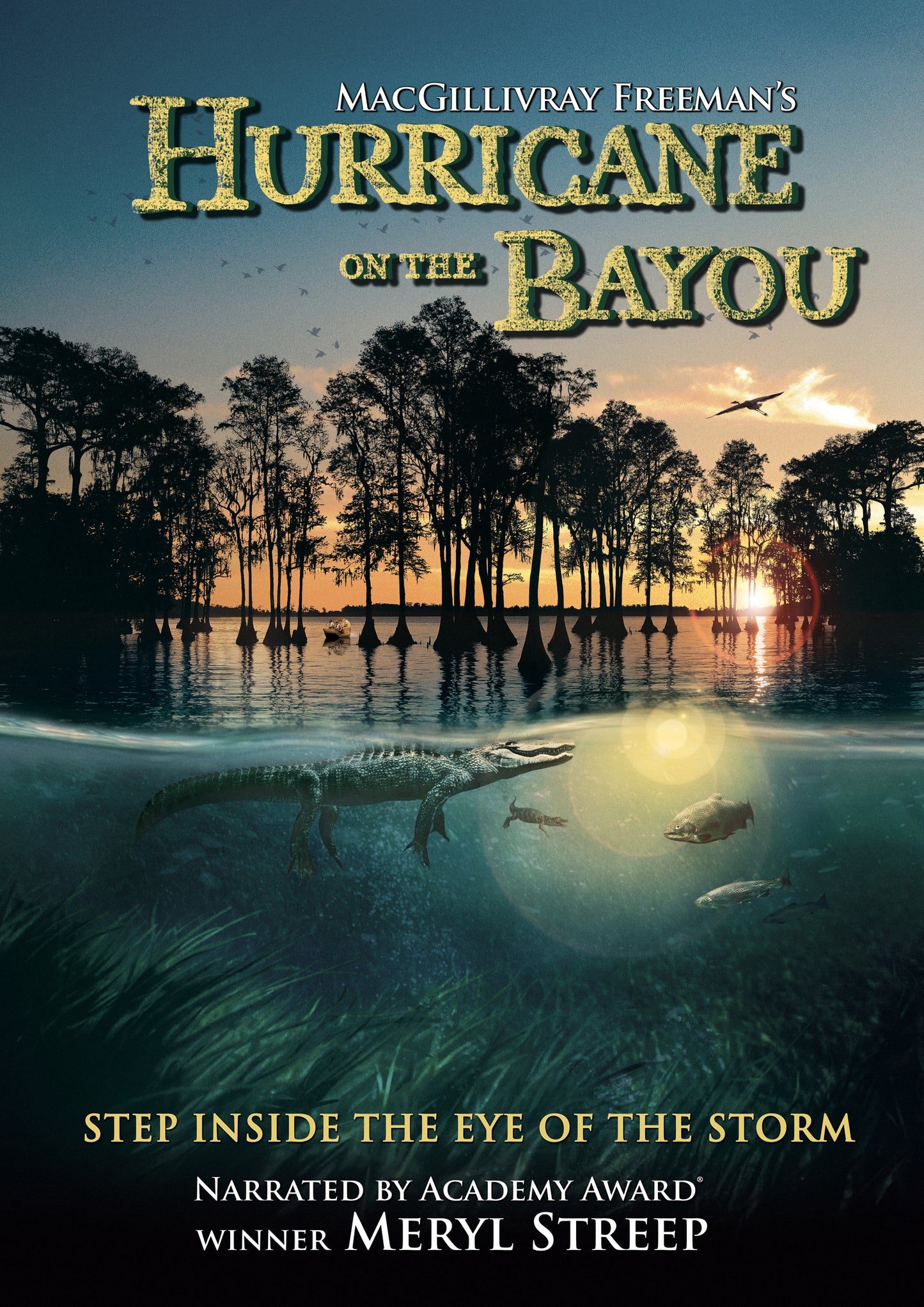 Hurricane on the Bayou cover art