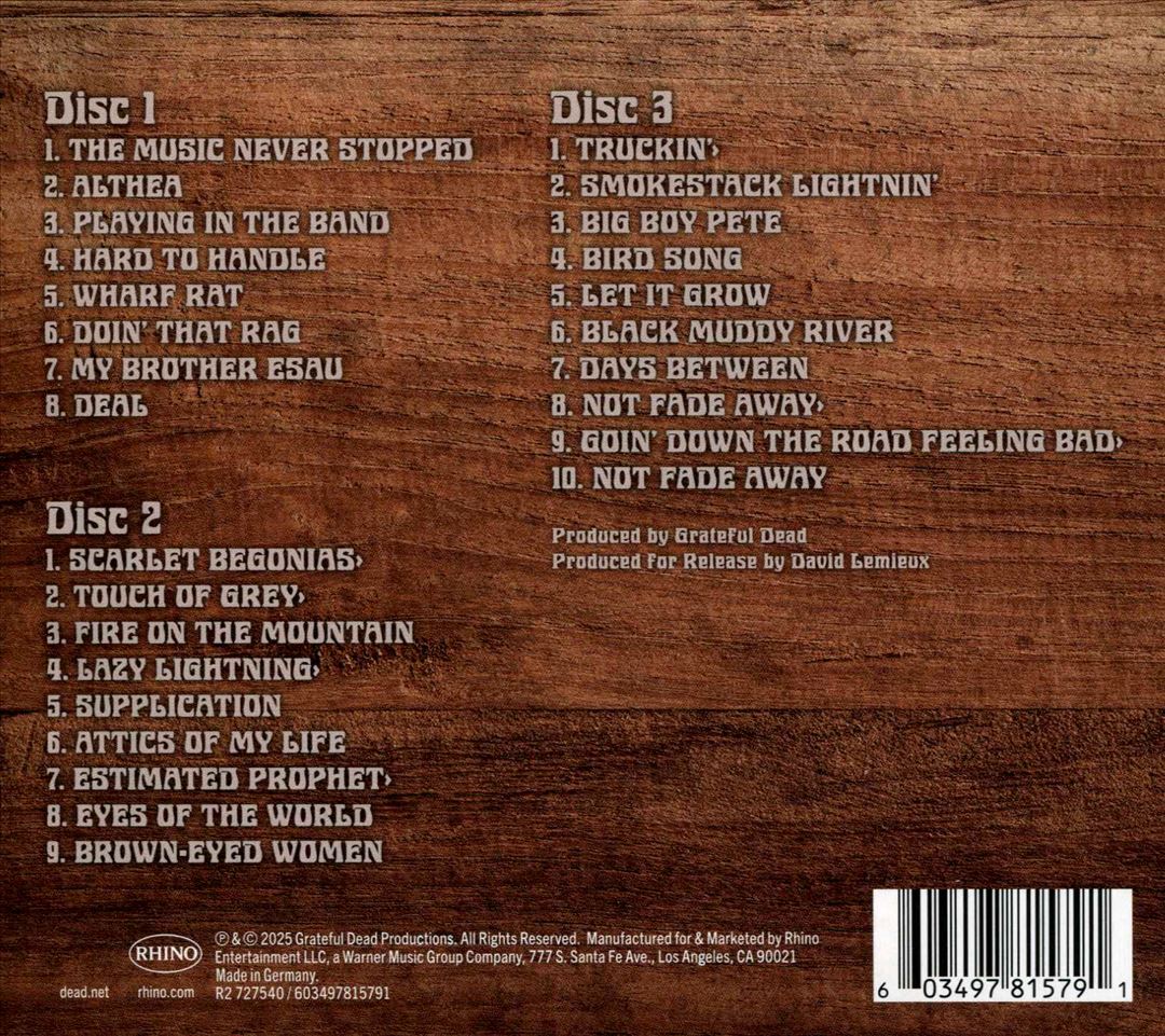 Music Never Stopped cover art