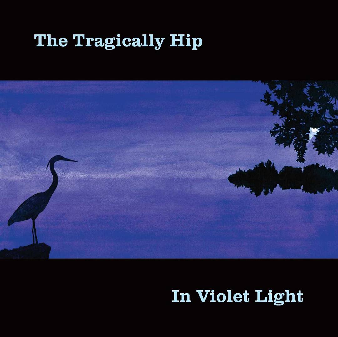 In Violet Light cover art
