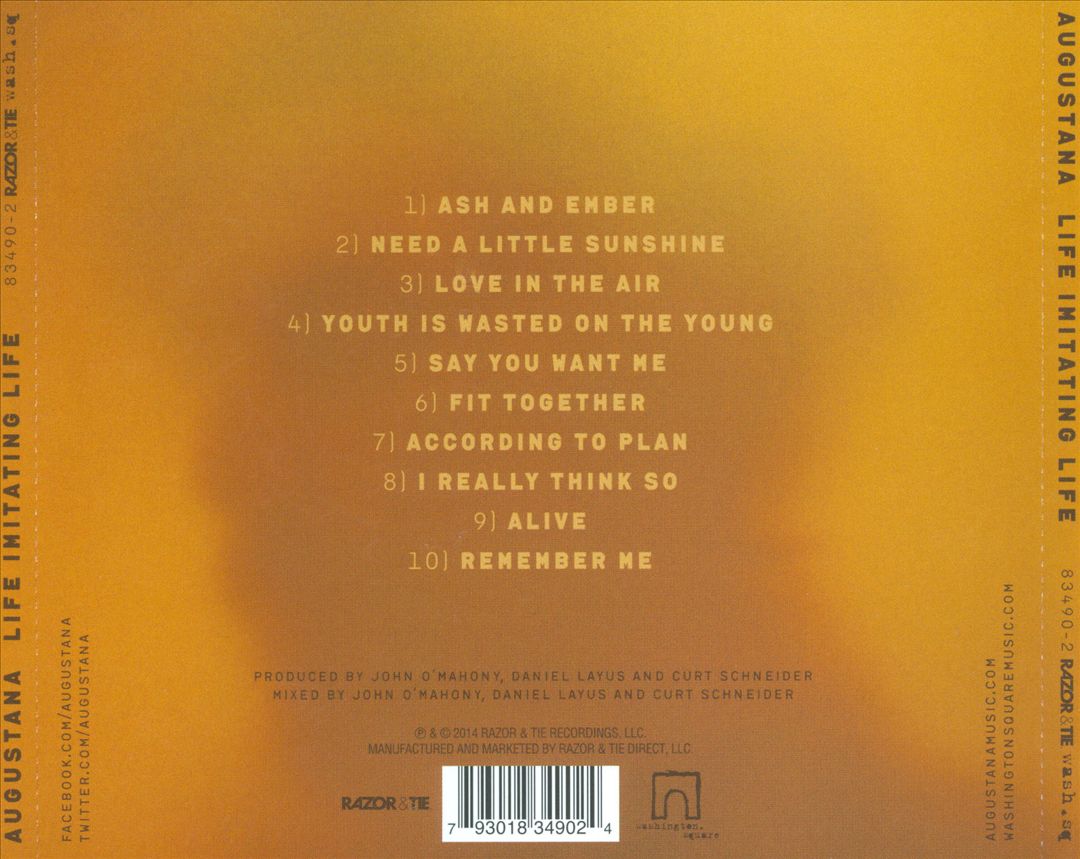 Life Imitating Life cover art