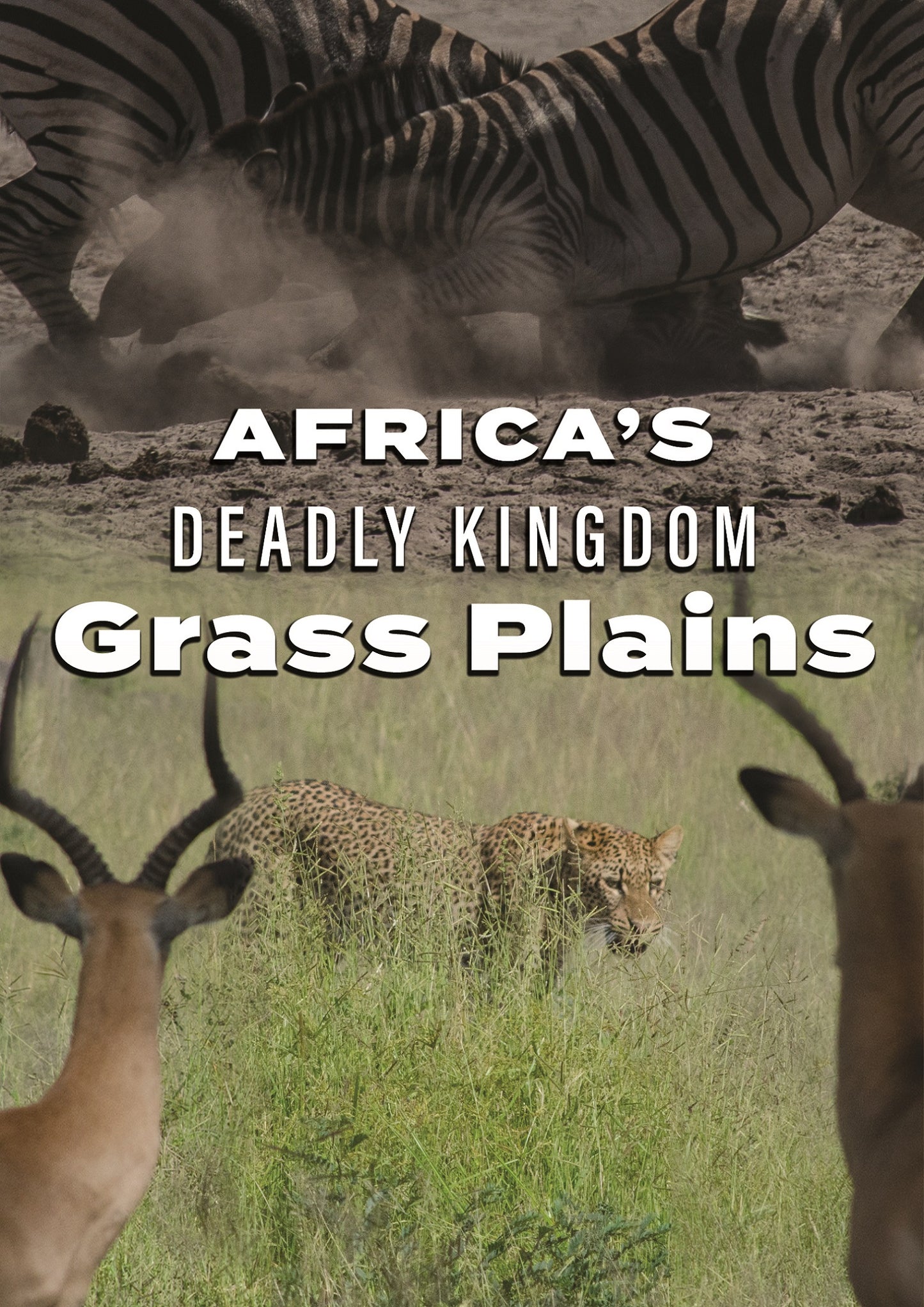 Africa's Deadly Kingdom: Grass Plains cover art