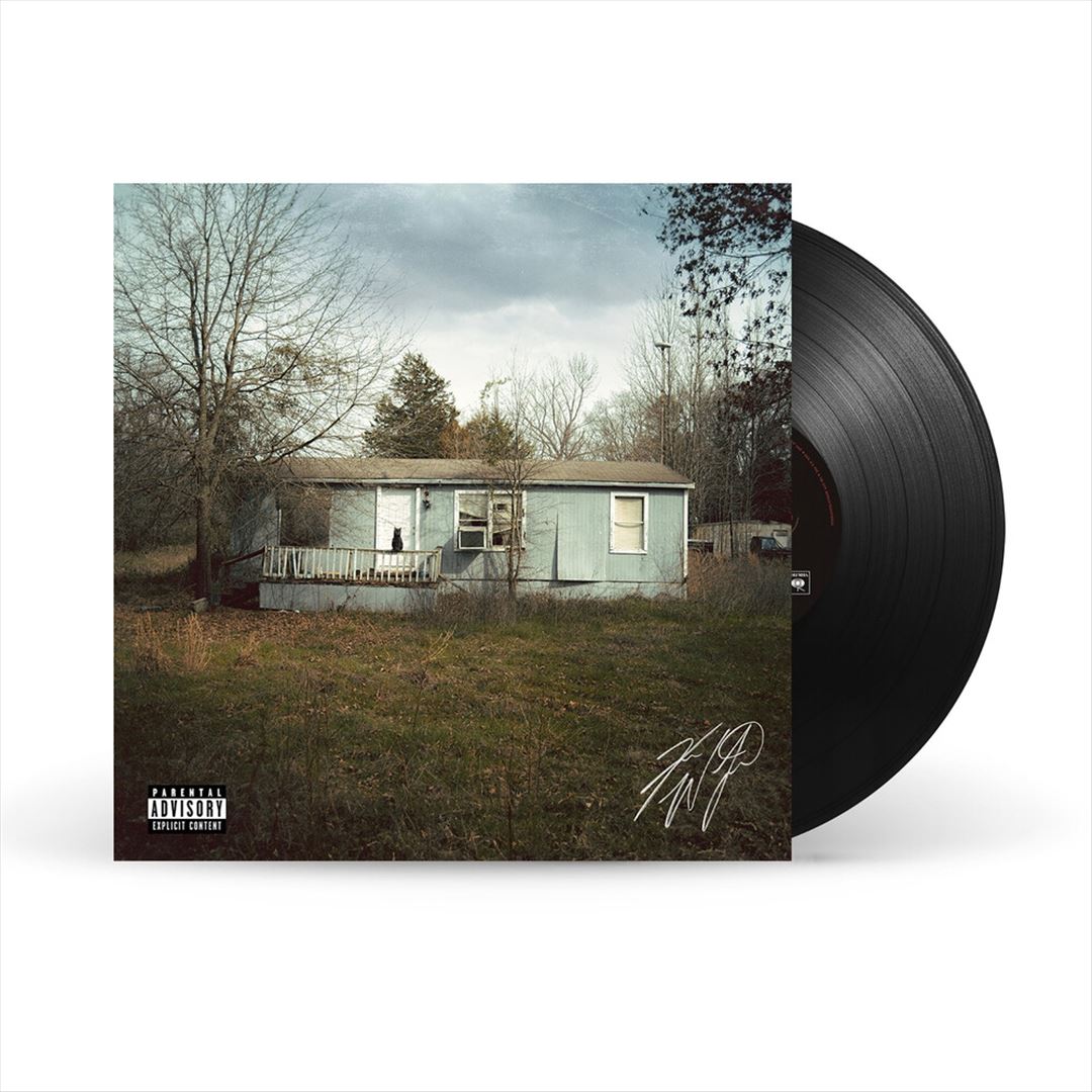 9 Lives   cover art