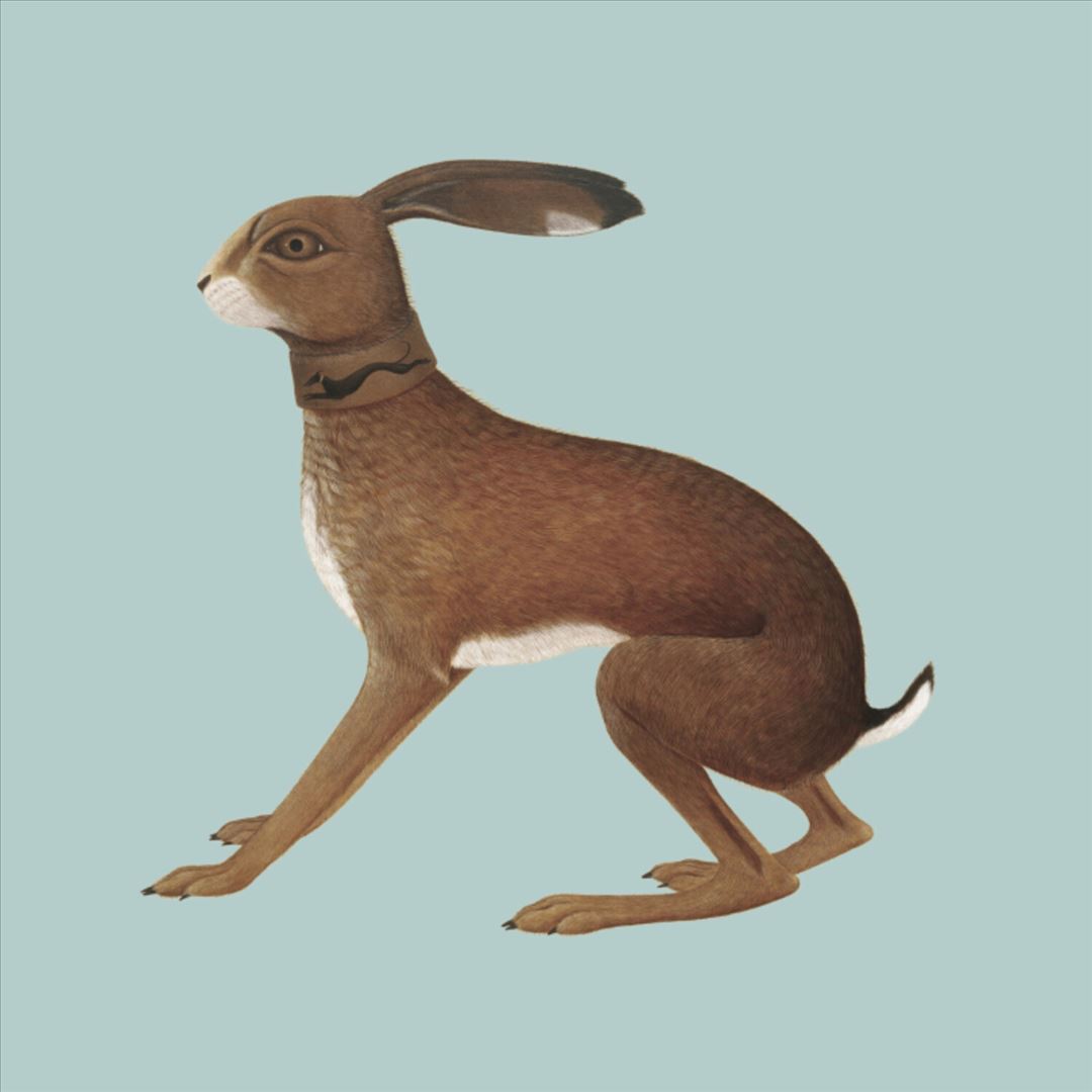 Lookaftering cover art