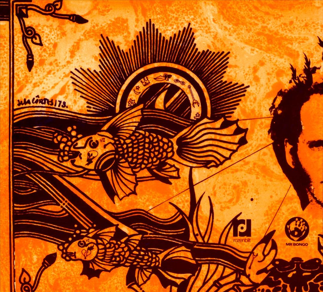 No Sub Reino dos Metazoários cover art