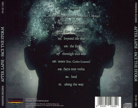 Face the Storm cover art