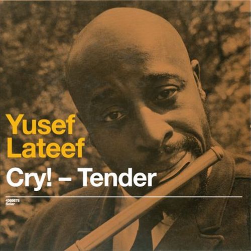 Cry! Tender/Lost in Sound cover art