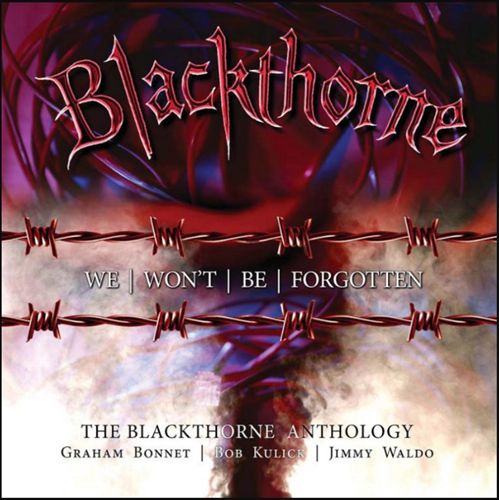 We Won't Be Forgotten: The Blackthorne Anthology [Boxset] cover art