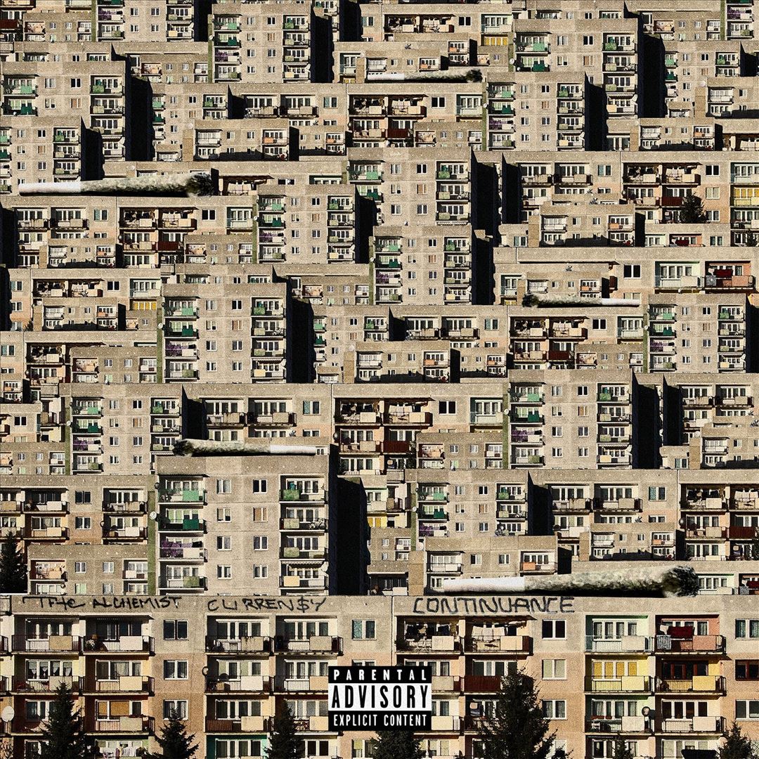 Continuance cover art