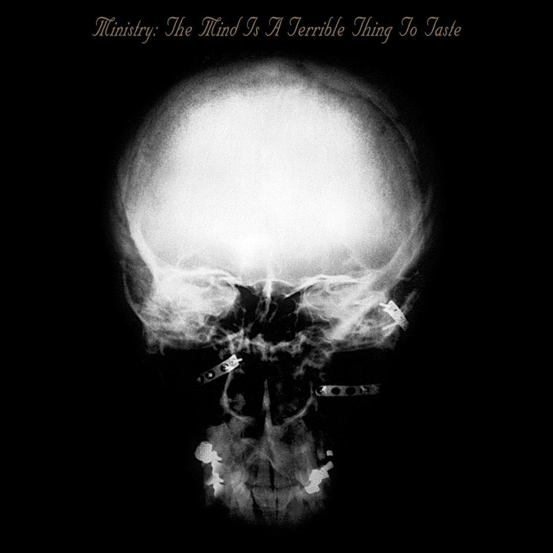 Mind Is a Terrible Thing to Taste cover art