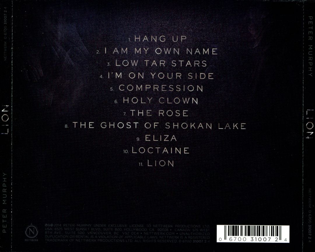 Lion cover art