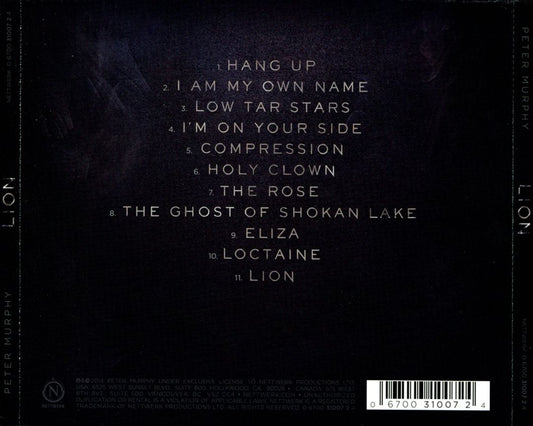 Lion cover art