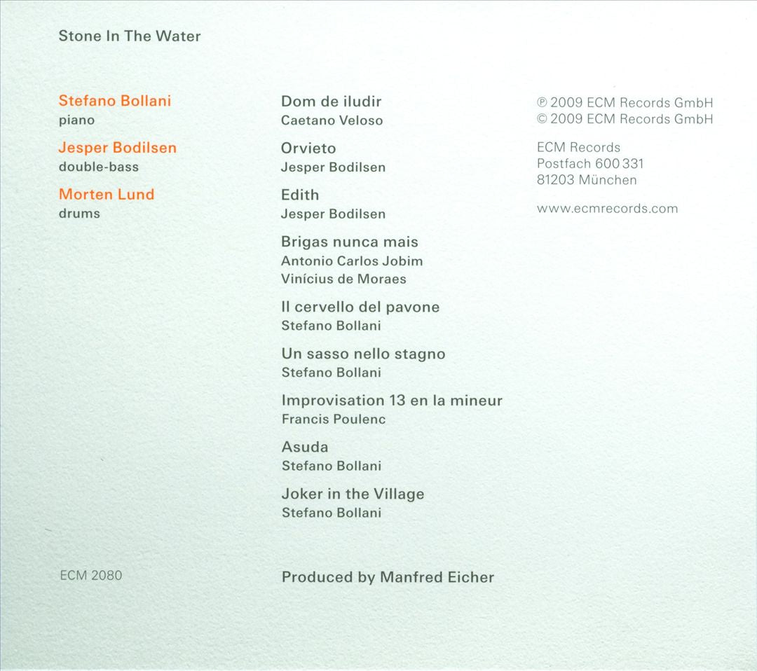 Stone in the Water cover art