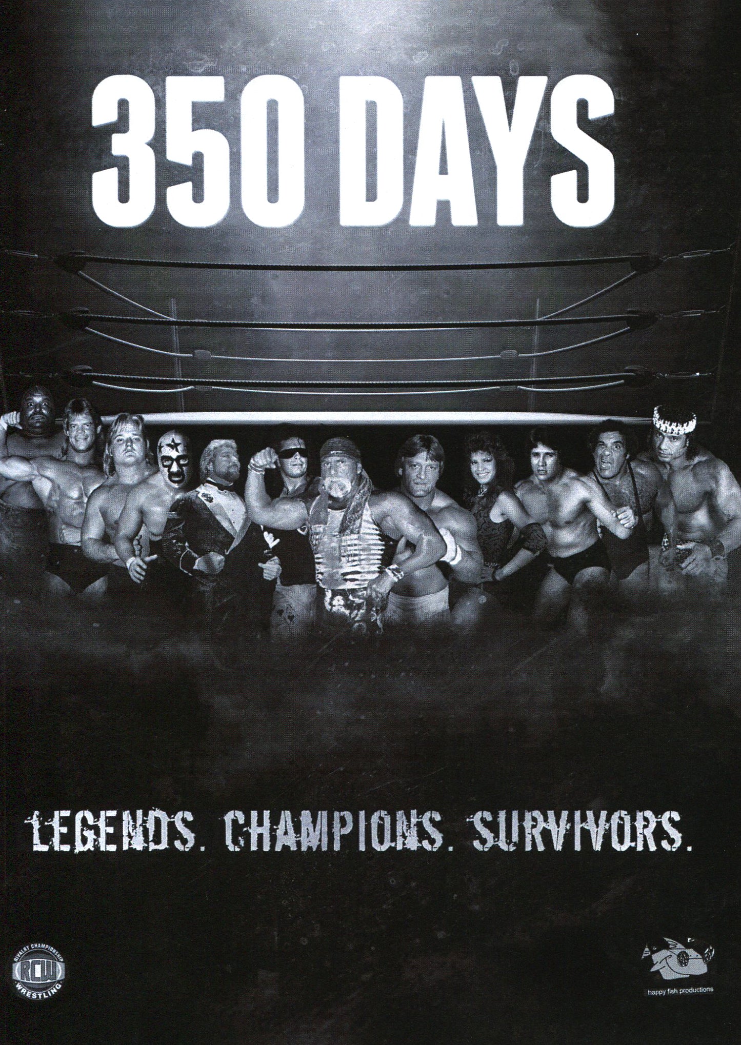 350 Days cover art