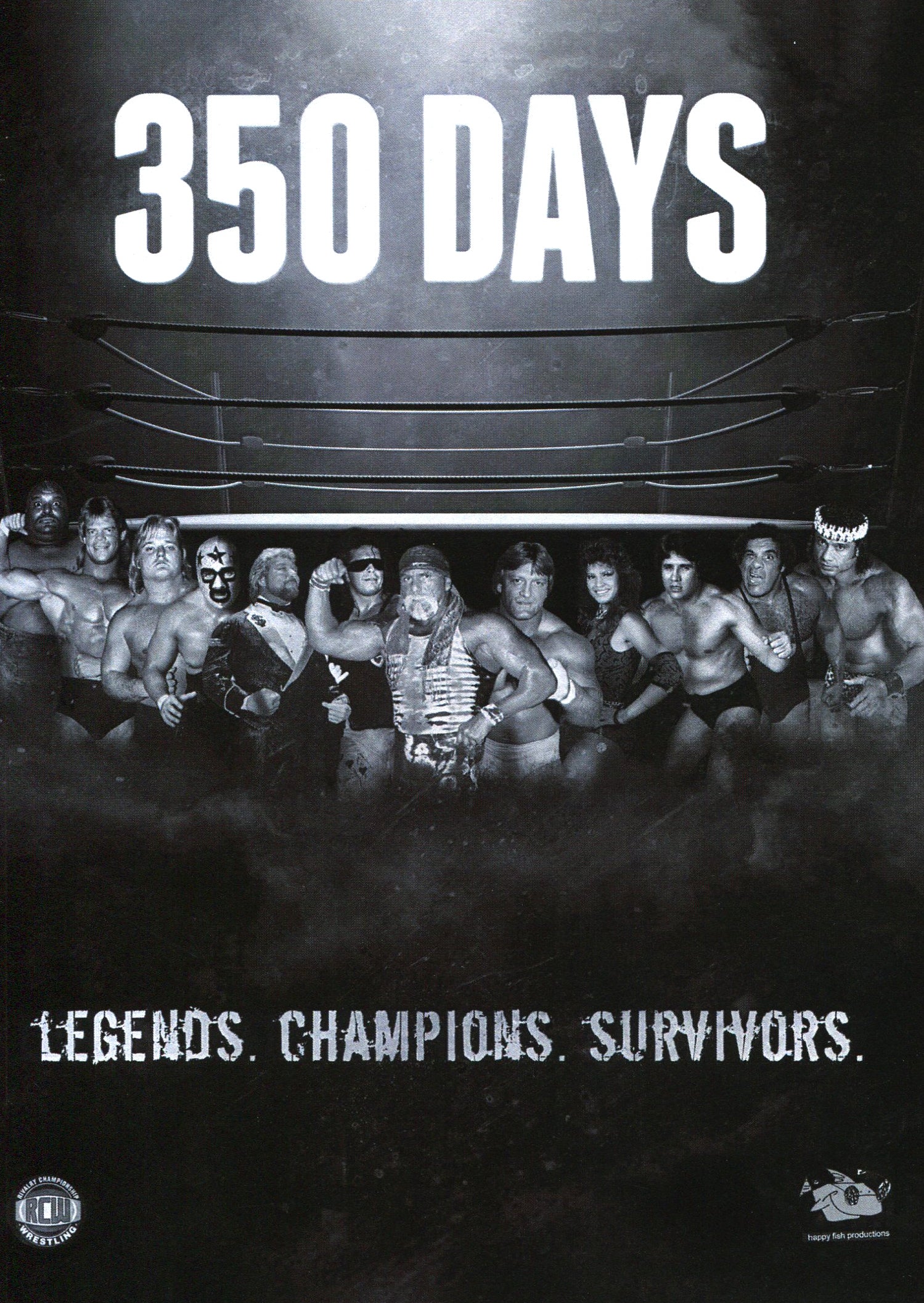 350 Days cover art
