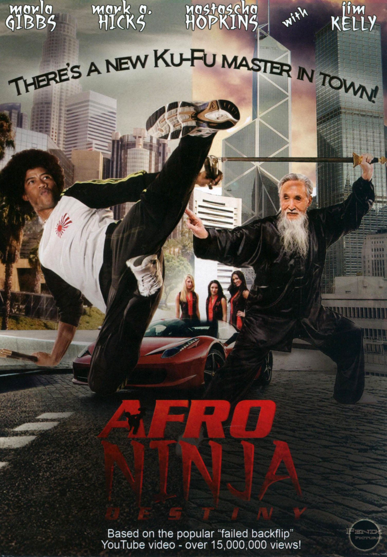 Afro Ninja cover art