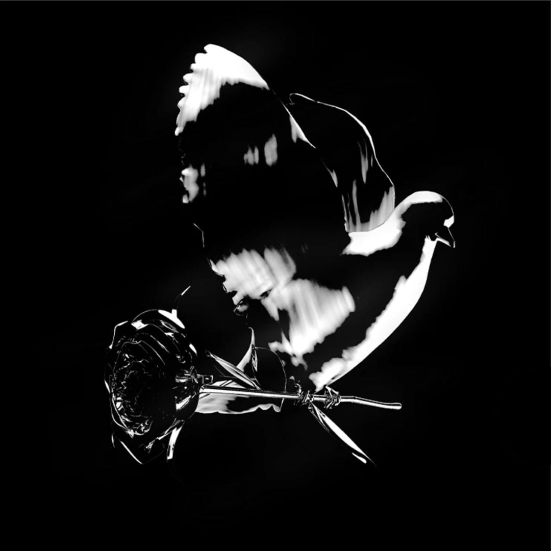 Shoot for the Stars, Aim for the Moon [Deluxe Edition] [2 CD] cover art