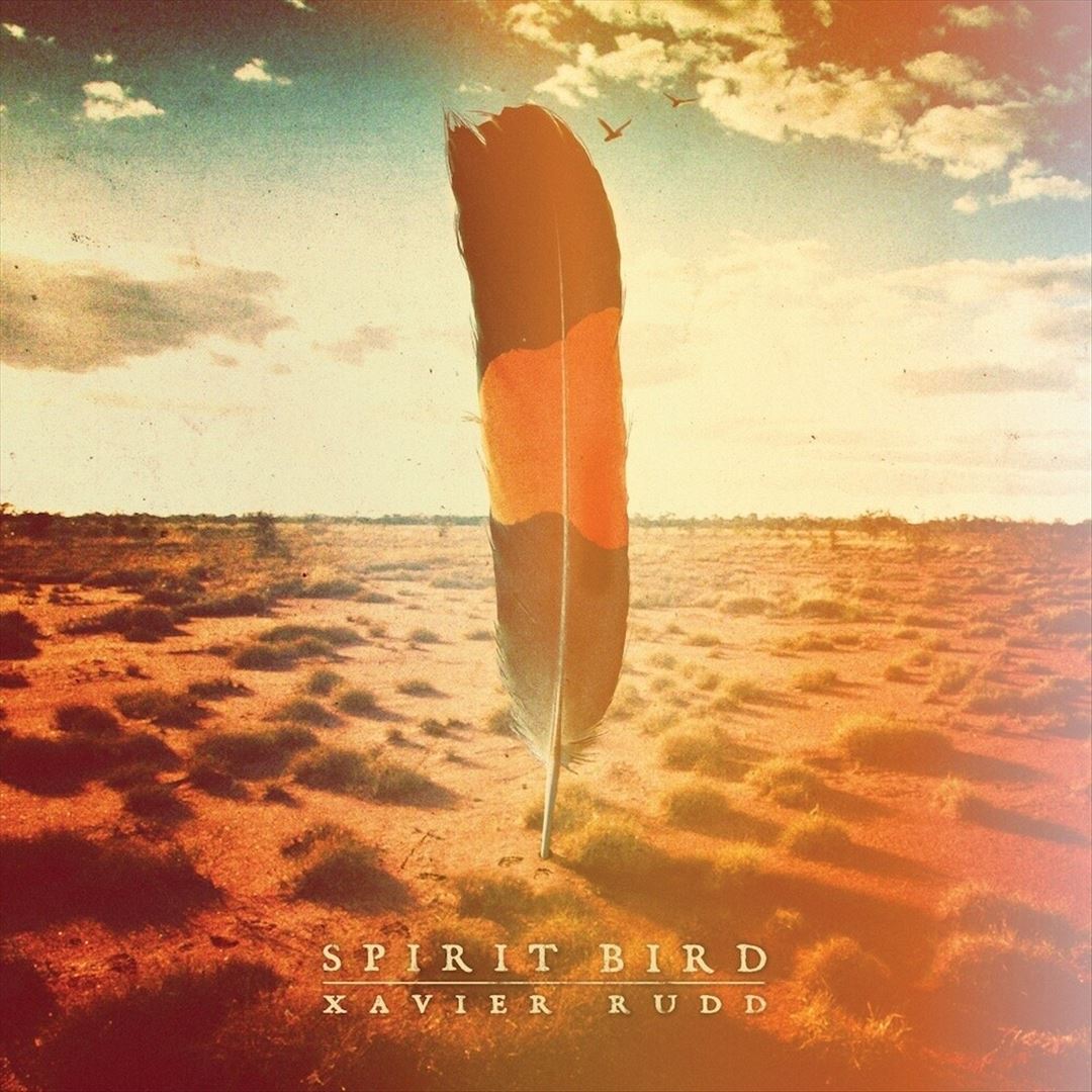 Spirit Bird [Lucky Dip 2 LP]  cover art