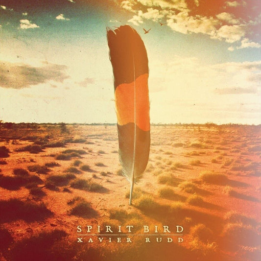 Spirit Bird [Lucky Dip 2 LP]  cover art