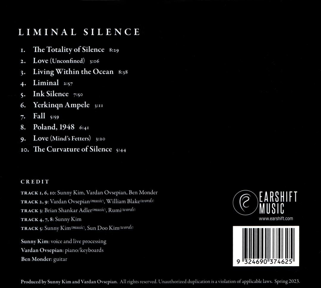 Liminal Silence cover art