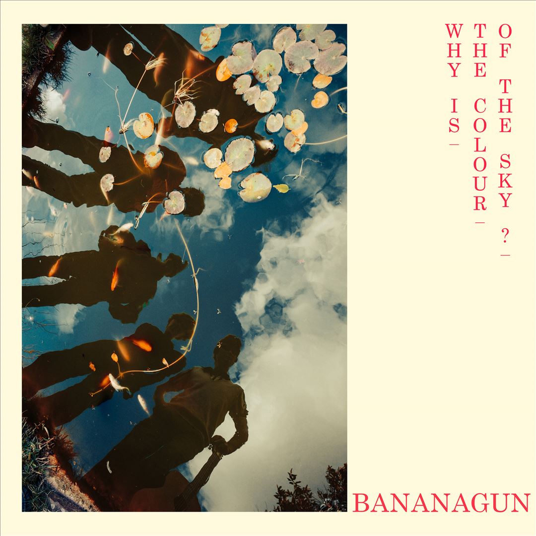 Why Is the Colour of the Sky? cover art