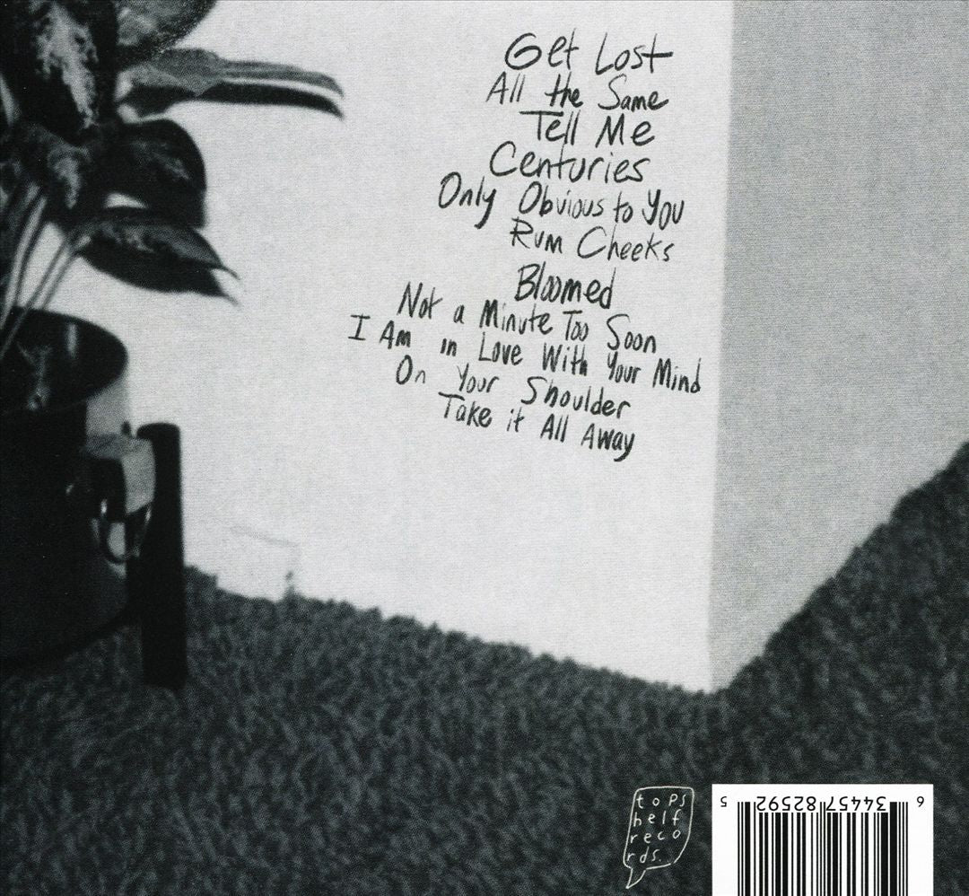 If You're Not Afraid, I'm Not Afraid cover art
