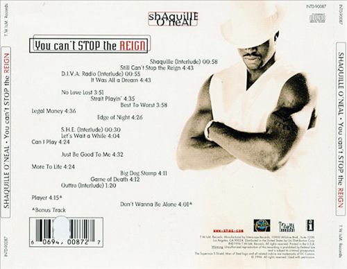 You Can't Stop the Reign cover art