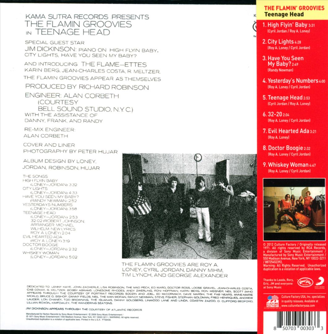 Teenage Head cover art