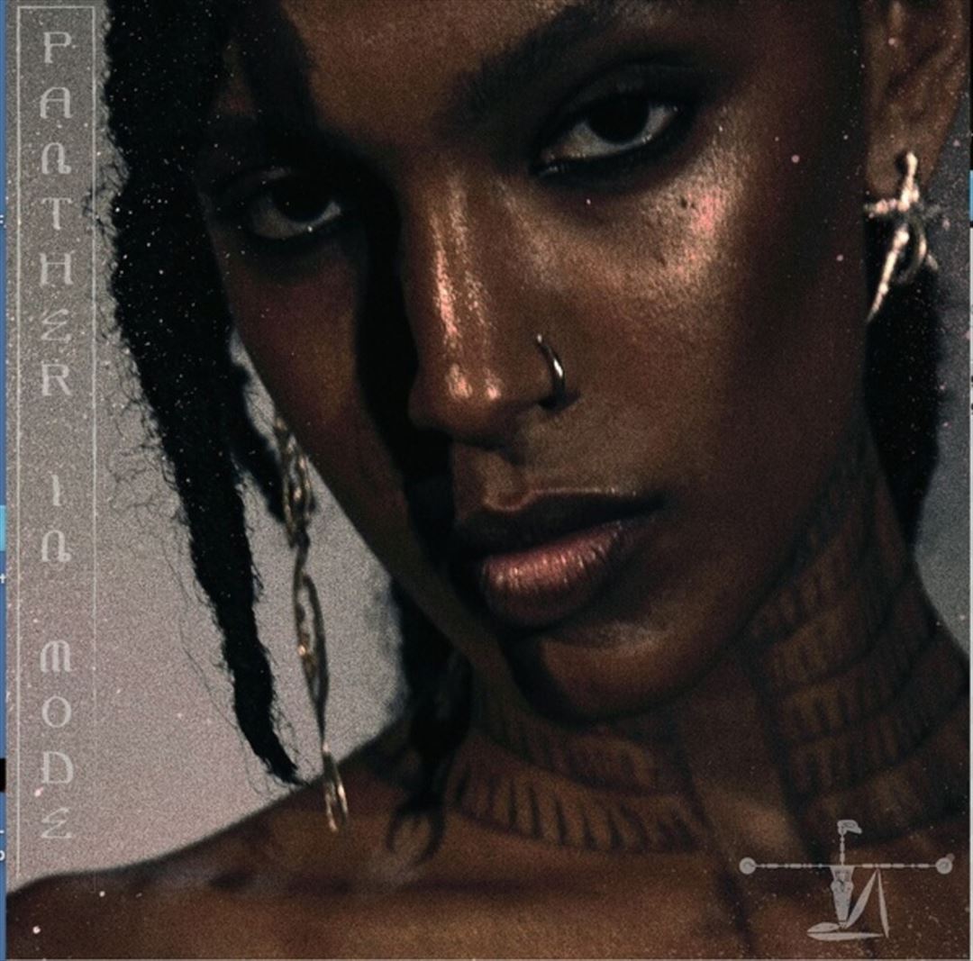 Panther in Mode cover art