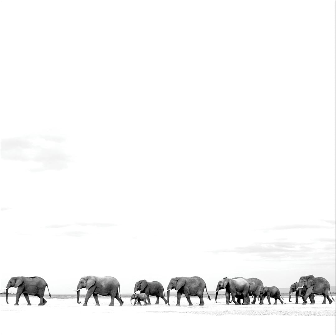 Where Are You Going: The Singles cover art