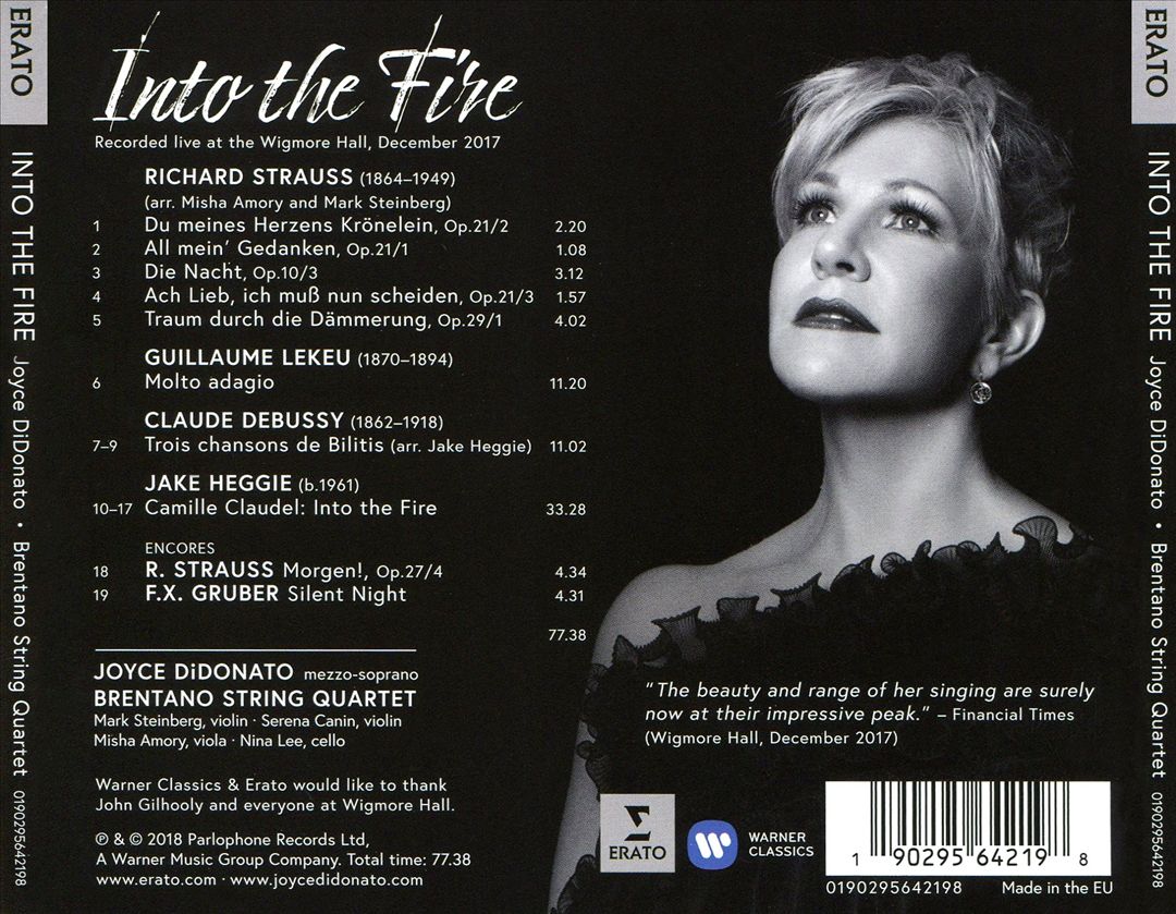 Into the Fire cover art