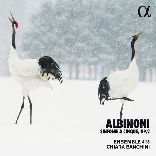 Albinoni: Sinfonie a Cinque, Op. 2 cover art