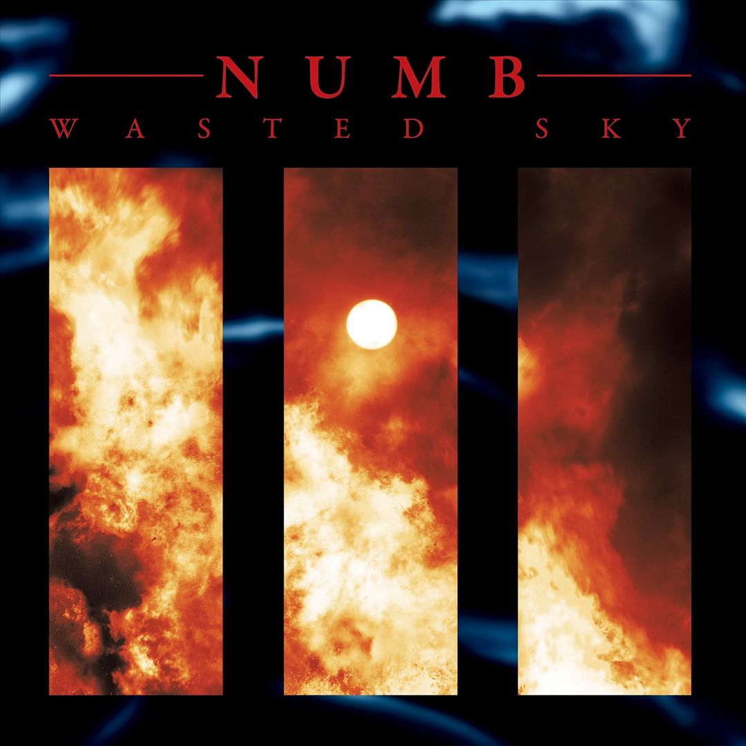 Wasted Sky cover art